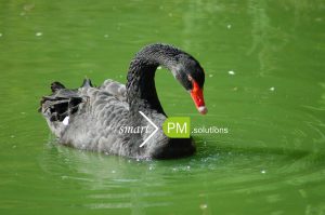 Short-time-work: Precise Forecasts help you out of the dark - Black Swan