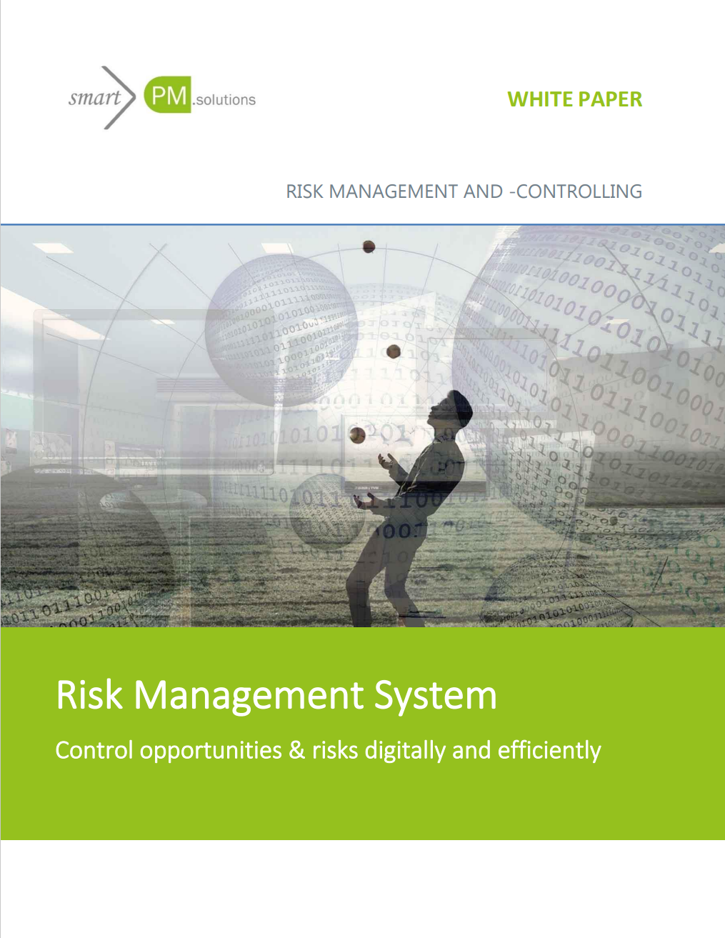 wp risk management & -controlling en