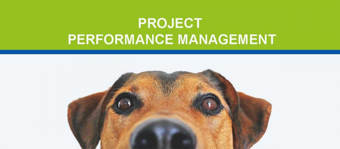 Project Performance Management Blog Header