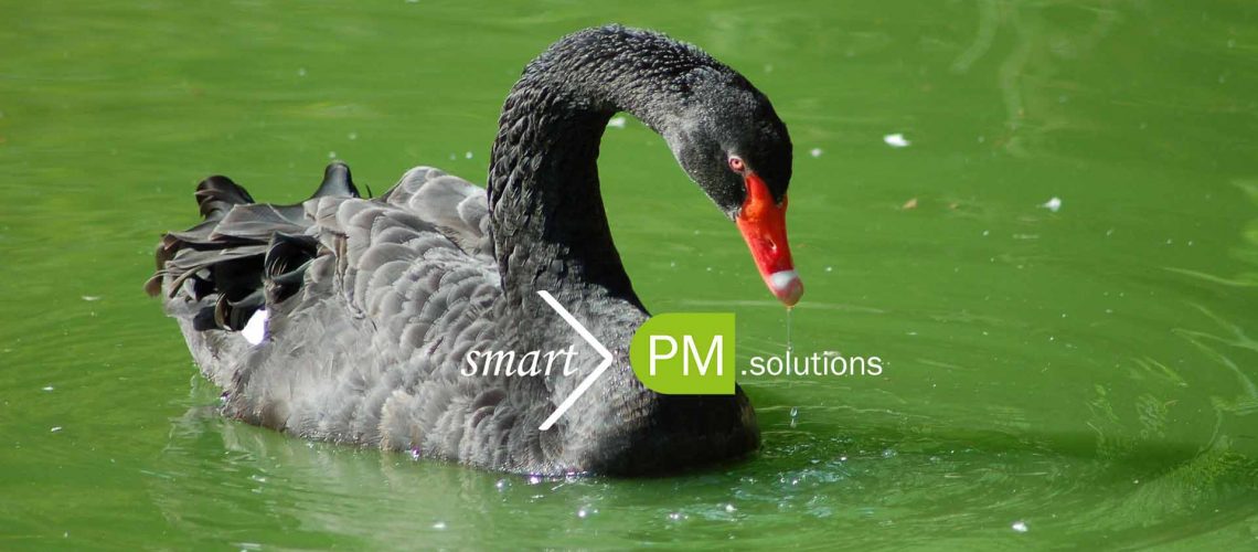 Short-time-work: Precise Forecasts help you out of the dark - Black Swan